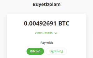 Buyetizolam Bitcoin Checkout